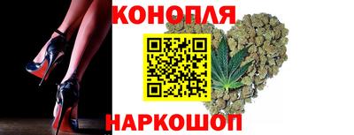 прущие грибы Тара