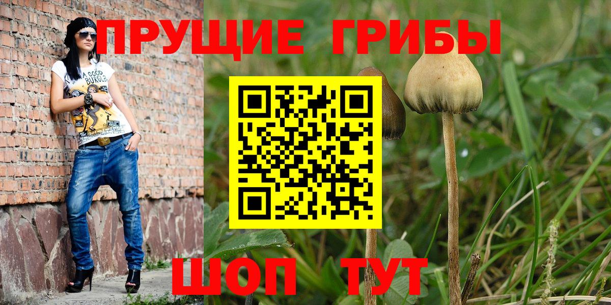 Галлюциногенные грибы MAGIC MUSHROOMS Краснодар