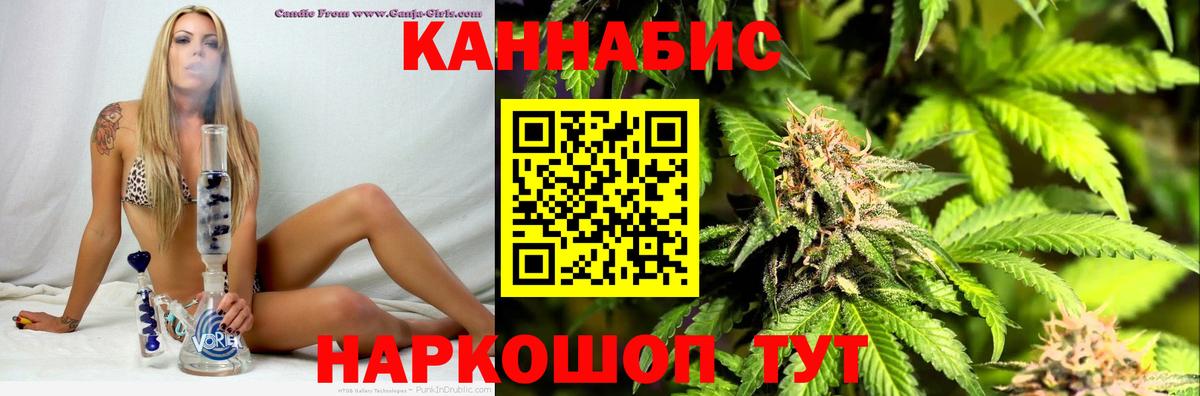 Марихуана конопля Краснодар
